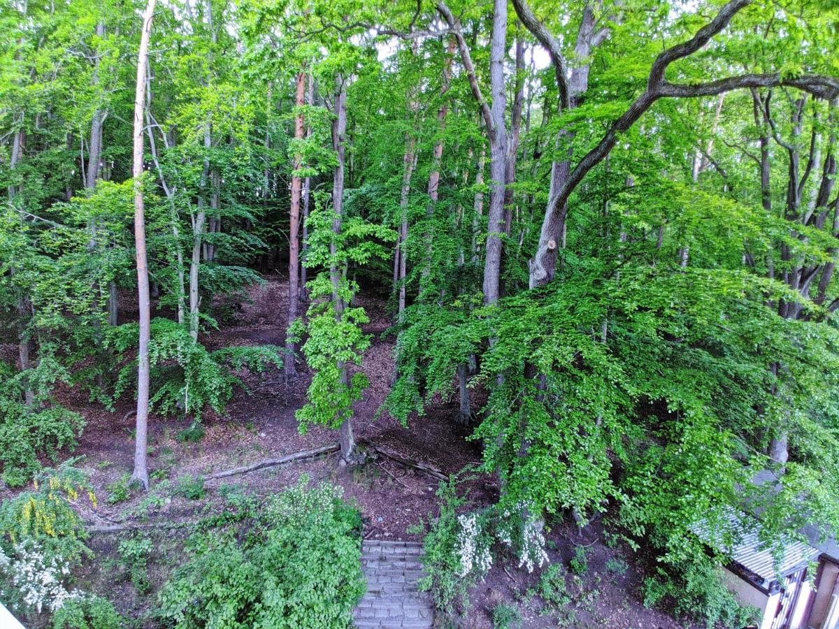 "Near The Forest" Apartment ソポト エクステリア 写真